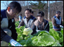 참사랑봉사단 선한사마리아원 김장담기 도와