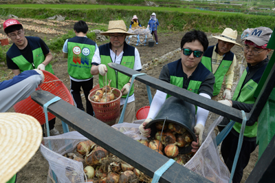 김천지역 농촌 일손돕기 봉사활동