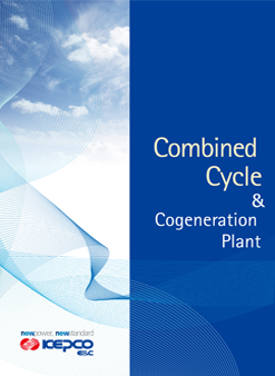 Combined Cycle & Cogeneration Plant