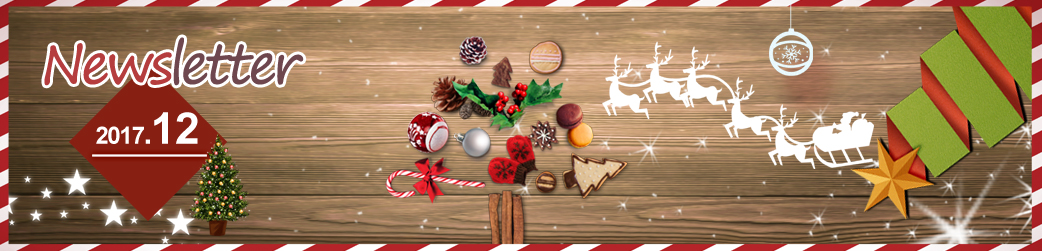 newsletter 2017.12