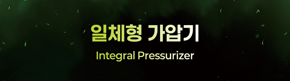 Integral Pressurizer