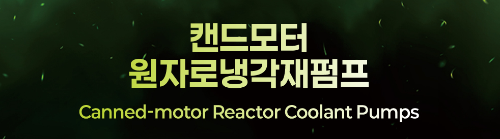 Canned-motor Reactor Coolant Pumps